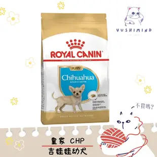 【ROYAL CANIN 法國皇家】狗 CHP 吉娃娃 幼犬 1.5KG 飼料 吉娃娃 ｜皇家 一般