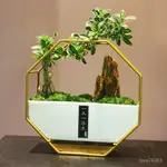 DIY創意盆栽 療癒植栽體驗 微景觀手作材料包 DIY真植物盆栽 苔蘚生態景觀 客廳茶室辦公室桌面盆栽 室內綠植送禮