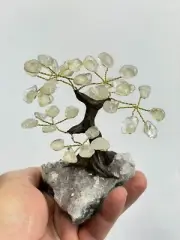 Quartz Gem Tree/Crystal Tree (S) 7 branches, 35 Crystals TR056