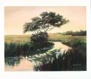 Carolina Luminosity by Douglas Williams 24.5X28 Print Tidwell Art Gallery