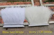 Off-White Ostrich Feather Trims Fringes Sewn on Feather 1 Yard (USA)