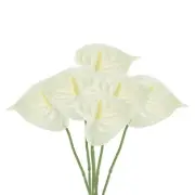 6Pcs 13" Artificial Anthurium Lily Flowers Floral Bouquet Decor, Beige