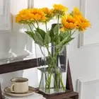 Plastic Hydroponics Flowerpot Round Square Box Planter Cafe Restrant