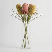 Artificial Dried Banksia Stem [MUSHDBANSW25]