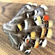 20pcs Amherst Natural Mix 6-7cm Pheasant Feathers DIY Craft Millinery Jewellery