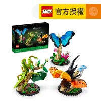 在飛比找友和YOHO優惠-LEGO® Ideas 21342 昆蟲收藏 (昆蟲,閃蝶,