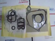 Briggs & Stratton OEM 555631 Gasket Set-Engine