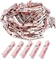 Mini Plastic Clips, 100 Pieces Rose Gold Photo Paper Pegs Clothespins Craft Clips for Hanging Pictures Clothes Paper Arts Crafts, Length : 3.5cm