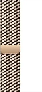 Apple Watch Band - Milanese Loop - 46mm - Gold - M/L
