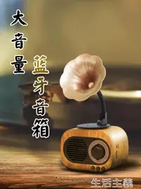 在飛比找樂天市場購物網優惠-收音機 藍芽音響復古小音箱低音炮手機電腦插卡U盤3D大音量家