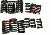 AEspares Head Valve Spring Inner & Outer Set of 12 Units Suitable for Massey 1035 Tractor