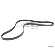 New ContiTech Serpentine Belt Alternator 6K1856 078903137BL Volkswagen & more