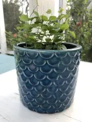 Mermaid Scale Glazed Planter 5 Inch Flower Pot Coastal Nautical Home Decor New