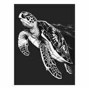 Turtle Canvas Print