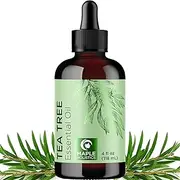 Pure Tea Tree Oil 4oz - Australian Tea Tree Essential Oil for Hair Skin and Nails - Aromatherapy Tea Tree Oil for Skin Dry Scalp Cleanser Nail Cleaner plus Purifying Humidifier and Diffuser Oil
