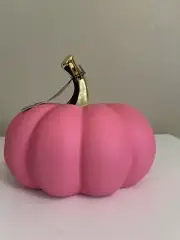 Christian Siriano Ceramic Matte Pink Soft Touch Pumpkin 6.5" Tall