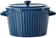 Porcelain Bowls with Leakproof Lid Ceramic Food Storage Bowl Holds Soup Cereal Noodles More Microwavable Dishwasher Safe,Blue