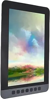 11.6 Inch Graphic Tablet with Screen, Art Tablet with 6 Shortcut Keys, 8192 Levels Pen Pressure, 100 Percent SRGB, with No Battery Stylus Pen, for Mac PC