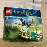 【全新現貨特價】LEGO 樂高 #30651 哈利波特 魁地奇訓練 QUIDDITCH PRACTICE 模型