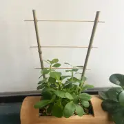 10pcs Garden Trellis 14in 6-8mm Stakes Tomato Planting Support Bamboo Sticks