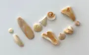 Natural Letter Shaped I LOVE YOU! beach shells craft art seashell word ❤️ US
