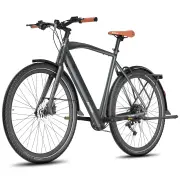 [EU Direct] FAFREES F700 M Electric Bike 36V 10AH Battery 250W Motor 700C Tires Torque Sensor 100KM Max Mileage 150KG Ma