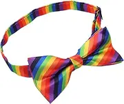 [Holibanna] Rainbow Bow Tie Bowtie Decor Women Decor Bow Tie Decor Accessories Festival Bowtie Decorative Bow Tie Colorful Bow Ties for Women Photo Decor Polyester Yarn