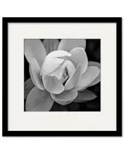 Courtside Market Wall Decor Black & White Gardia Gallery Collection Framed Art