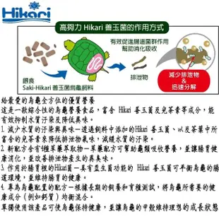 【HIKARI 高夠力】善玉菌烏龜飼料 M顆粒200g+Tropical德比克高蛋白烏龜成長飼料1L(適用於各種澤龜水龜烏龜)