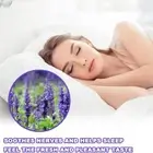 Dried Lavender Flowers Loose Fresh Natural Genuine Scent Pot 50/100g Pourri G3X8