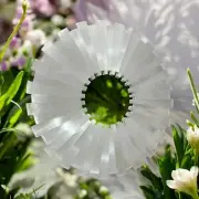 Selenite Room Wall Mirror Healing Crystal Exclusive Handmade Valentine Gift Deco