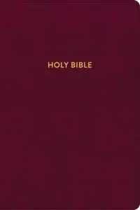 在飛比找博客來優惠-KJV Rainbow Study Bible, Burgu