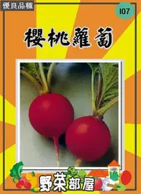 在飛比找Yahoo!奇摩拍賣優惠-【野菜部屋~】I07 日本櫻桃蘿蔔種子3.3公克 , 品質細