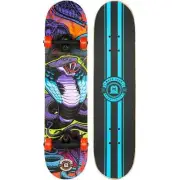 31 X 7 Inch Double Kicktail Beginner Complete Skateboard with Maple D