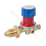 Silverline Adjustable Propane Gas Regulator - 500 - 4000mbar