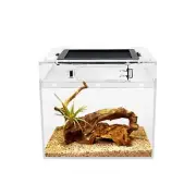Mini Reptile Terrarium,8" x 8"x 8" Reptile Tank with Full View Visually Dragon