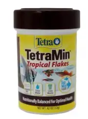 Tetramin Tropical Flakes 12G