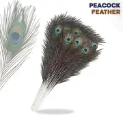 Natural Peacock Tail Feathers Wedding Festival Party Wedding Decoration 10-100
