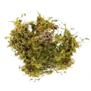 Fake Moss Artificial Moss For Potted Plants Greenery Moss Home Decor Fairy
