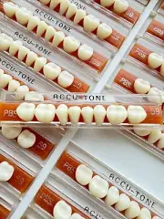 Acrylic Resin False Teeth Accu-tone Posterior Lower A1/59-PBS dentures box 160ps