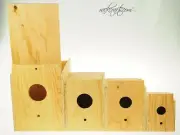 Nesting Breeding Brooding Bird House Boxes Outdoor Indoor Finch Sparrow Woodpeck