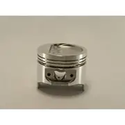 Austral Piston Set - PO840 030