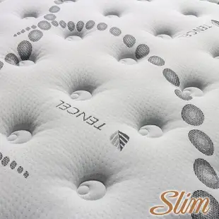 【SLIM 加厚型】天絲銀離子抗菌紓壓獨立筒床墊(雙人5尺)