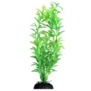 Aqua One Plant Aquarium Ecoscape Ludwigia Green M