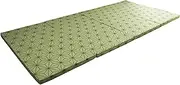 Achilles AK-518 GRN Mattress, Extra Firm Lower Back, Single, Lower Back Pain, Quatre-Fold, Compact Storage, Lower Back Pain, Japanese Pattern (Hempp Leaves), Green