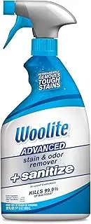 Woolite Advanced Stain & Odor Remover + Sanitize, 22floz