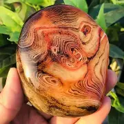 279g Natural Lace Banded Sardonyx Quartz Crystal Palm Stone Mineral Specimen