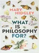 What Is Philosophy For?