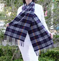 在飛比找Yahoo!奇摩拍賣優惠-Burberry Giant Check Scarf 彩虹格