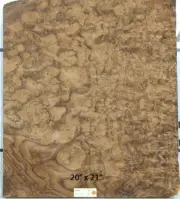 Walnut Burl wood veneer 20" x 21" raw no backing 1/42" thickness AAA grade #137